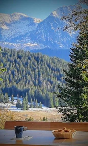 Chaleureux Aux Pieds Des Pistes