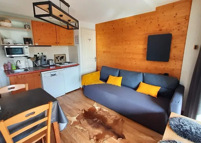 Chaleureux Appartement Aux Pieds Des Pistes
