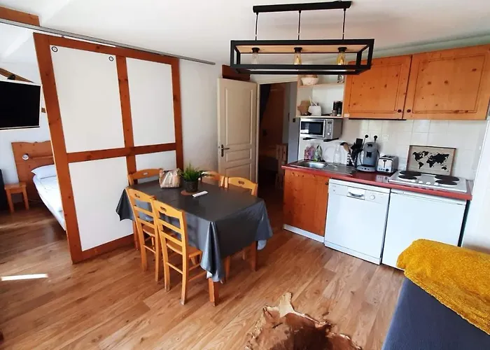 Chaleureux Appartement Aux Pieds Des Pistes
