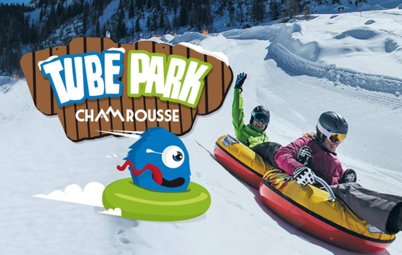 Chaleureux Aux Pieds Des Pistes Apartment *